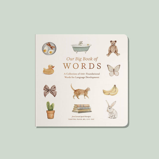 Cover of 'Our Big Book of Words' featuring watercolor illustrations of various objects and animals, including a bat, butterfly, rabbit, and book, on a beige background.