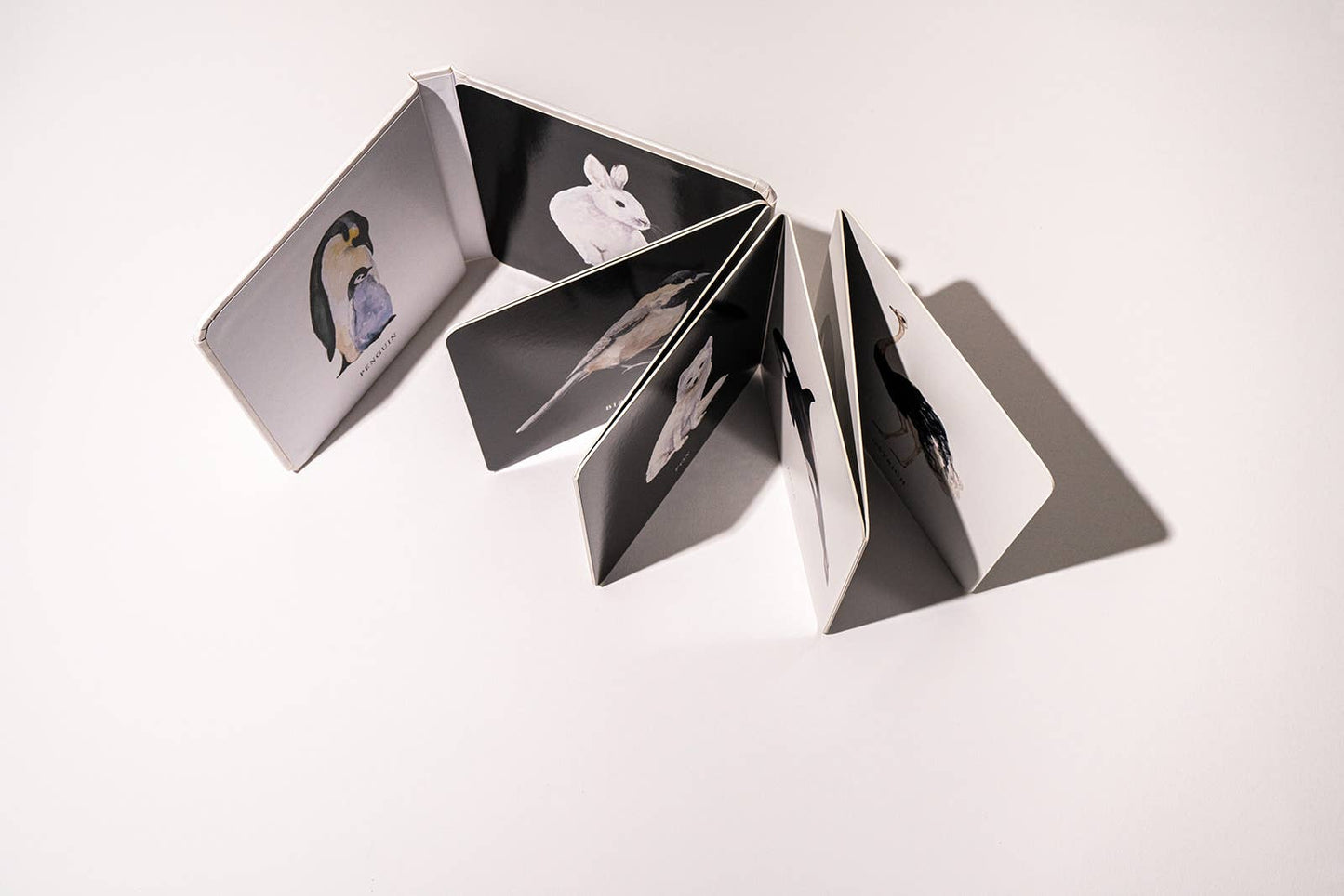 Accordion style board book opened up.