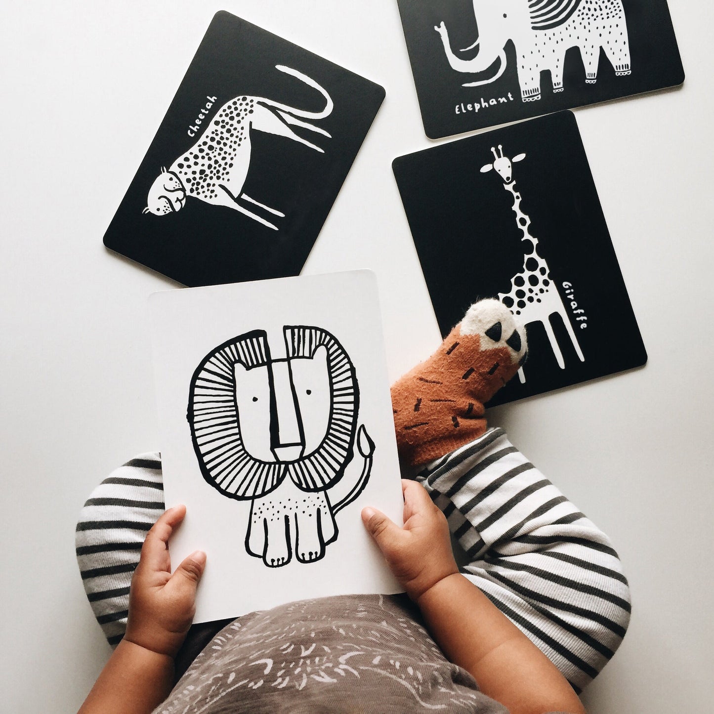 Children's hands holding a card with a lion illustration, surrounded by animal-themed coasters on a white surface.