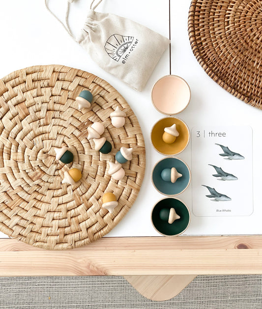 Elm + Otter Acorn Sorting Set – Muted Tones