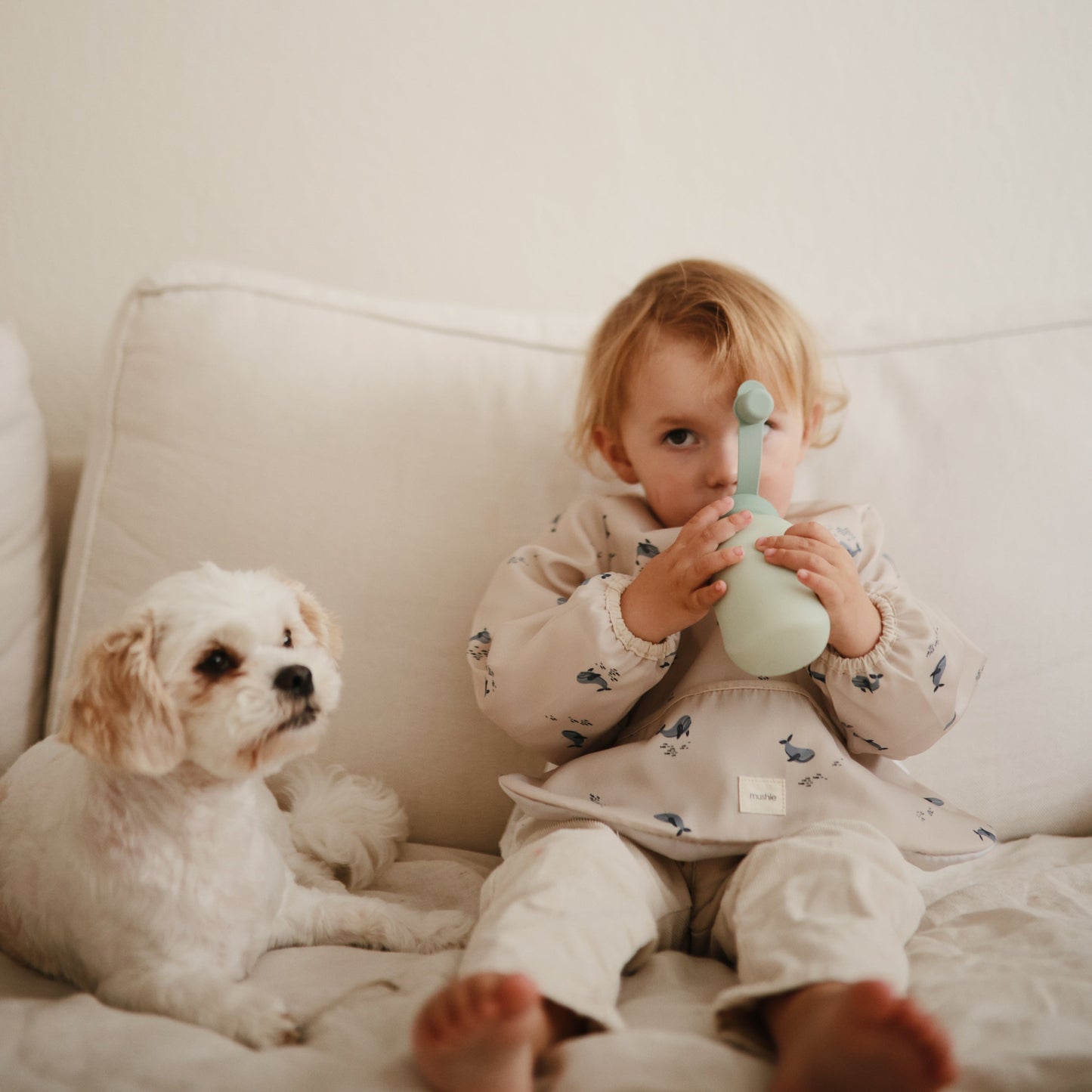Child sitting on a couch with a dog, holding a green toy