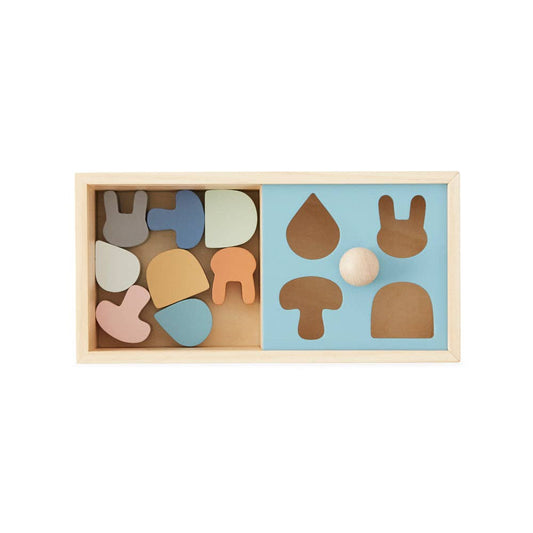 Wooden shape sorting toy with colorful geometric pieces in a box on a white background