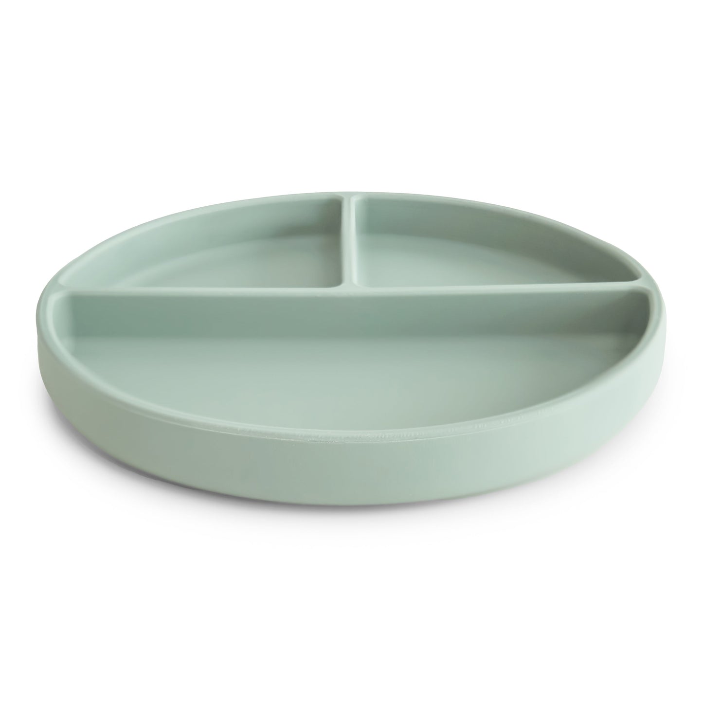 Light green divided plate on a white background