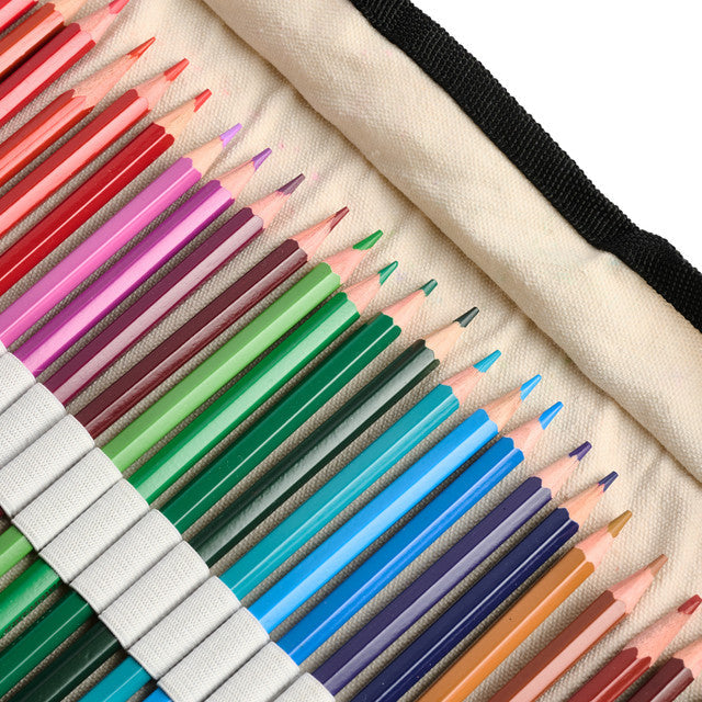 Set of colored pencils in a case with a white background