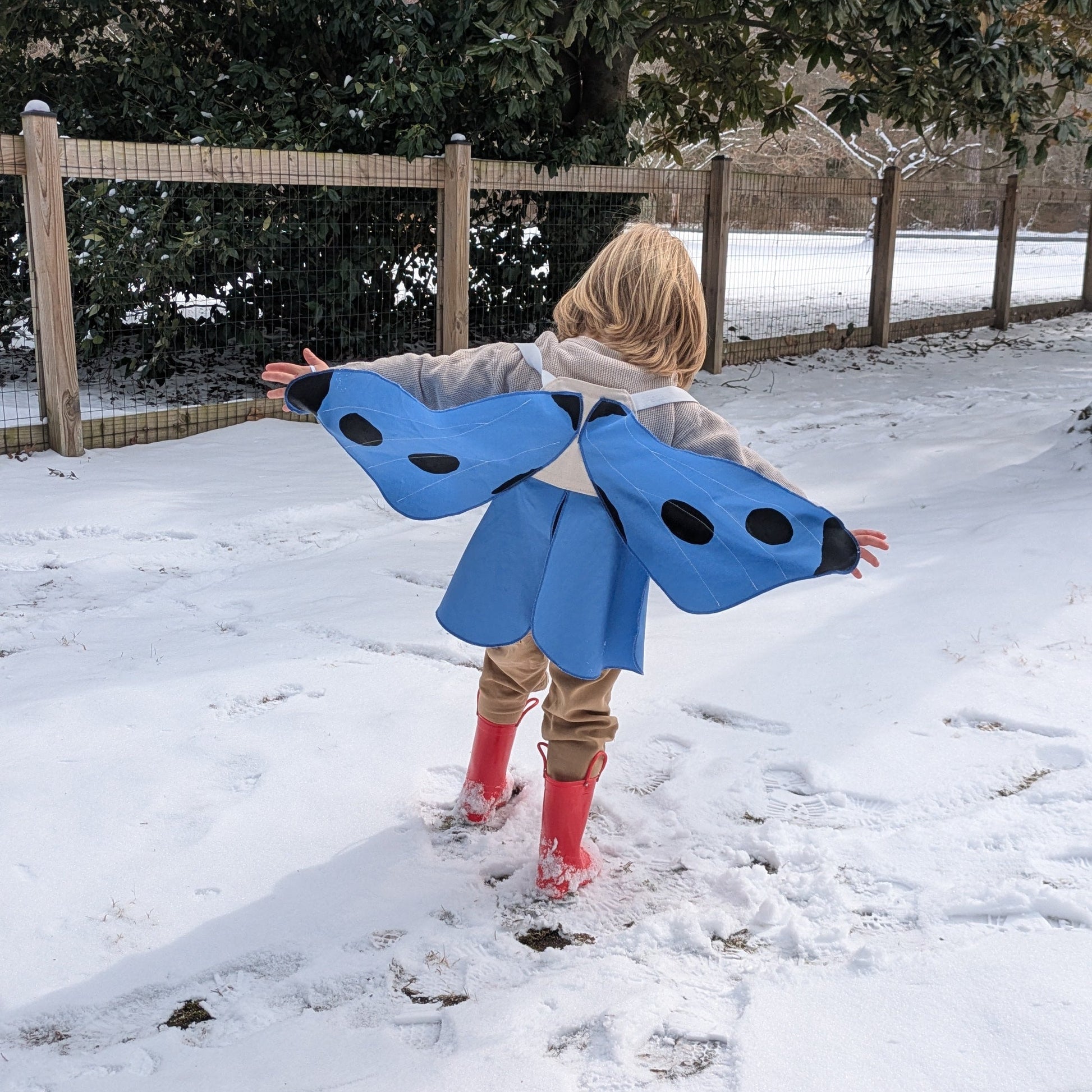 Child wearing a blue butterfly costume in a snowy backyard