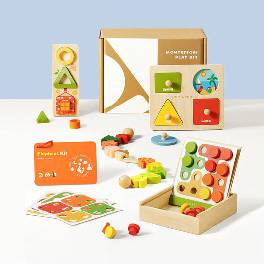 Collection of wooden educational toys with geometric shapes and color sorting elements on a light blue background.