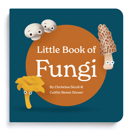 Book cover of 'Little Book of Fungi' with cartoon fungi characters on a blue background