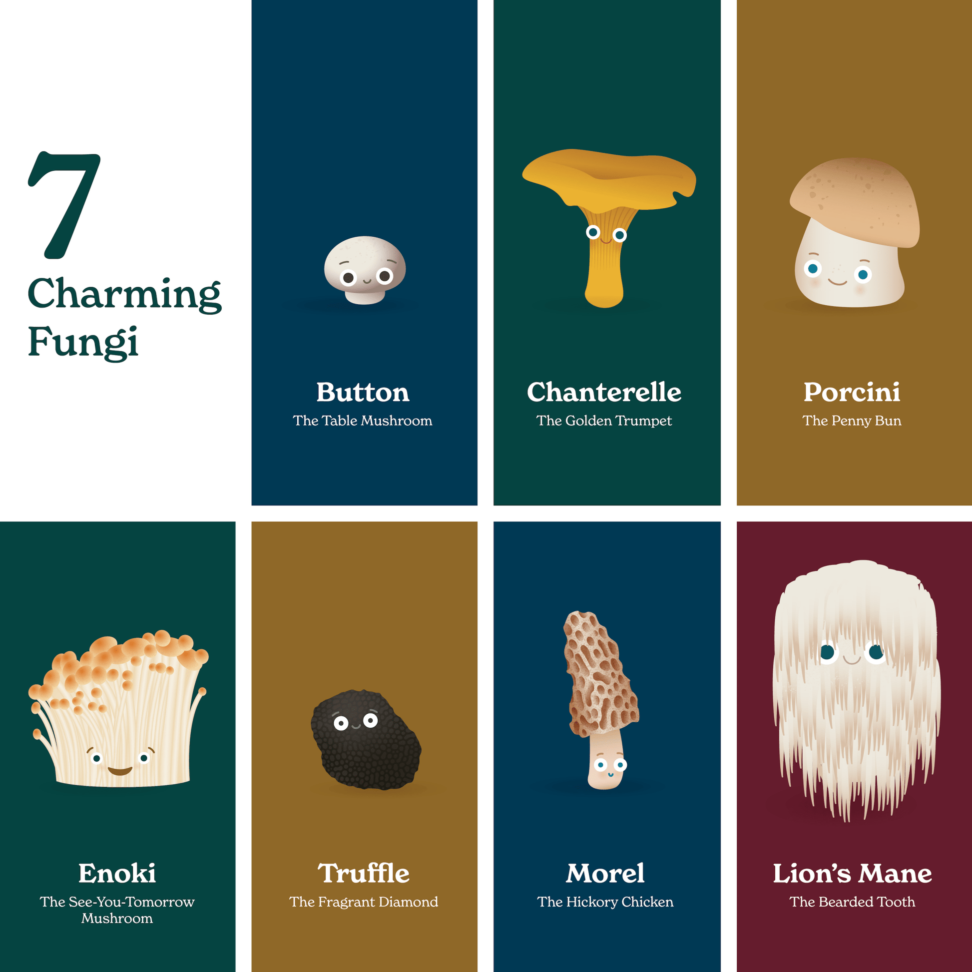 Illustrations of seven different types of mushrooms with labels on a grid.