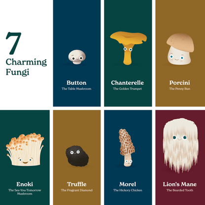 Illustrations of seven different types of mushrooms with labels on a grid.