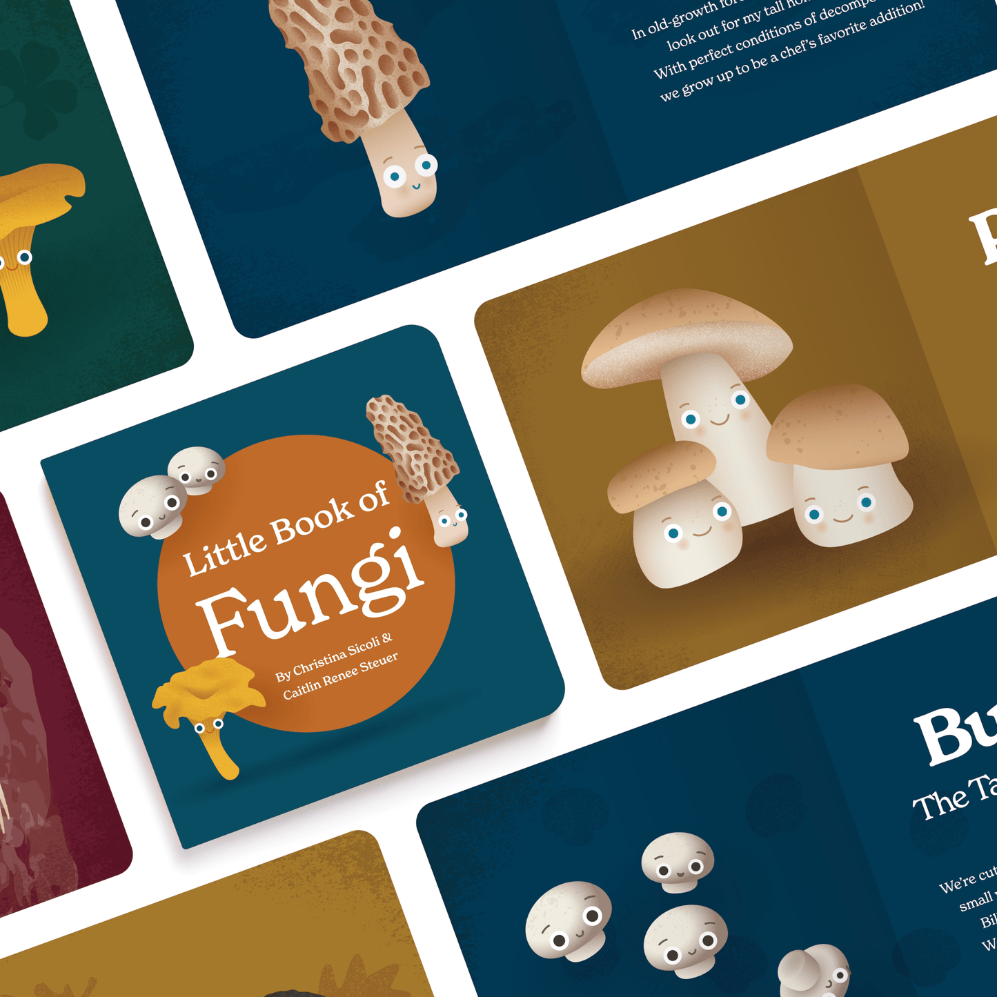 Collage of mushroom illustrations and 'Little Book of Fungi' cover