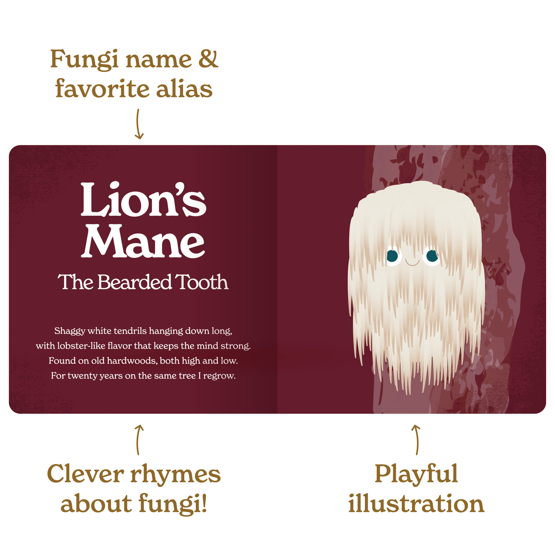 Illustration of a mushroom with text about 'Lion's Mane' and 'The Bearded Tooth'.