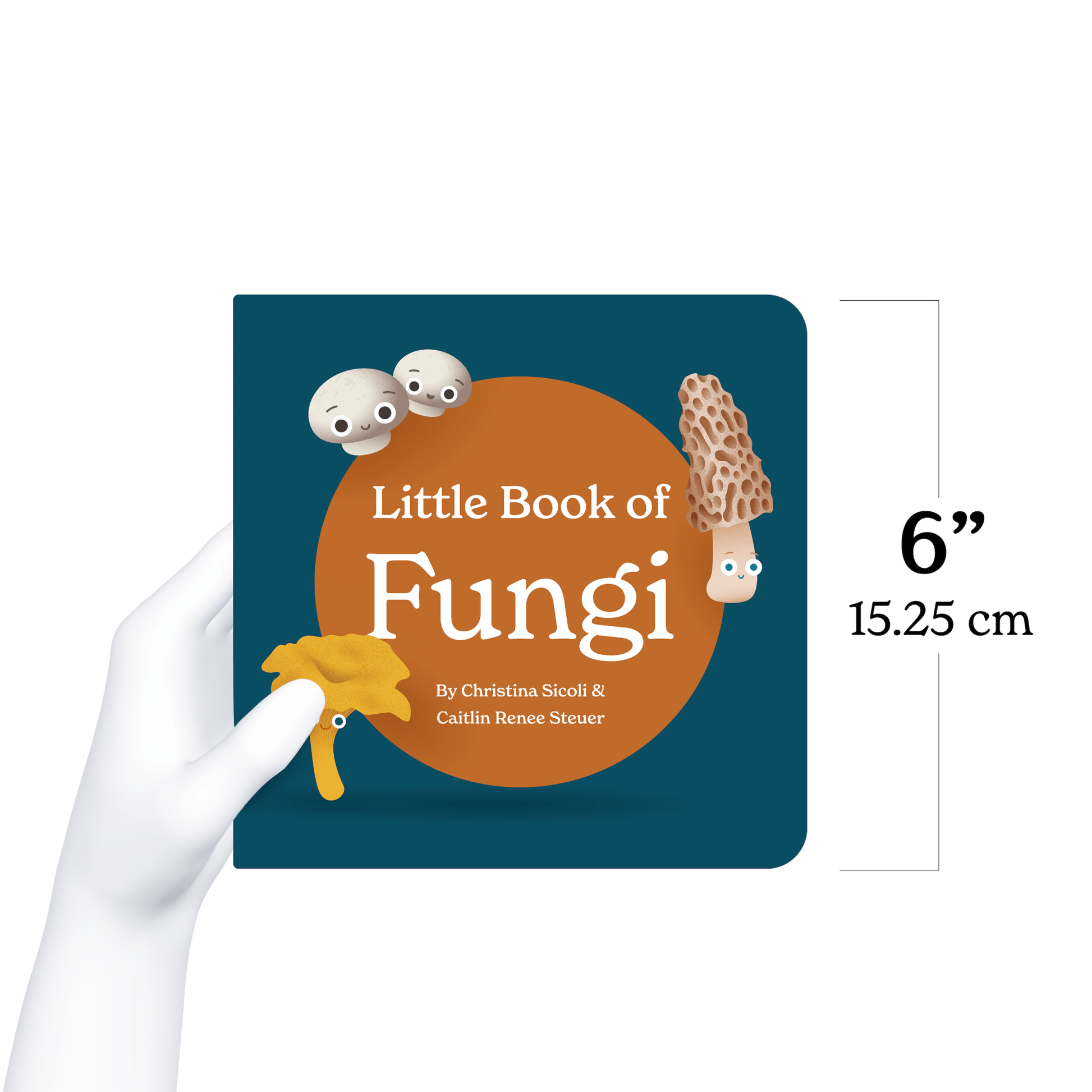 Children's book titled 'Little Book of Fungi' held by a hand, with dimensions displayed.