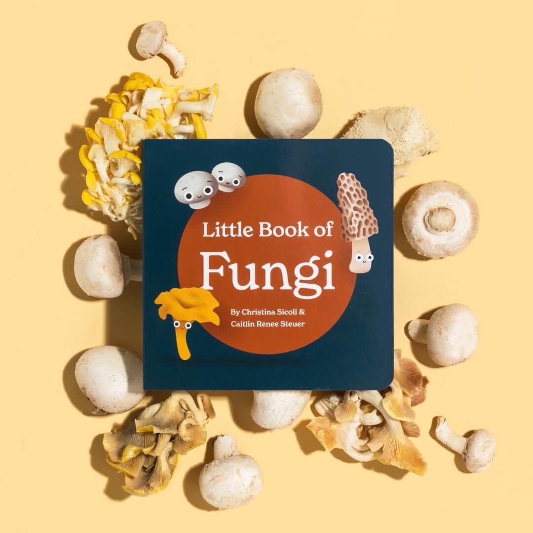 Chunky Deli Little Book of Fungi – Board Book