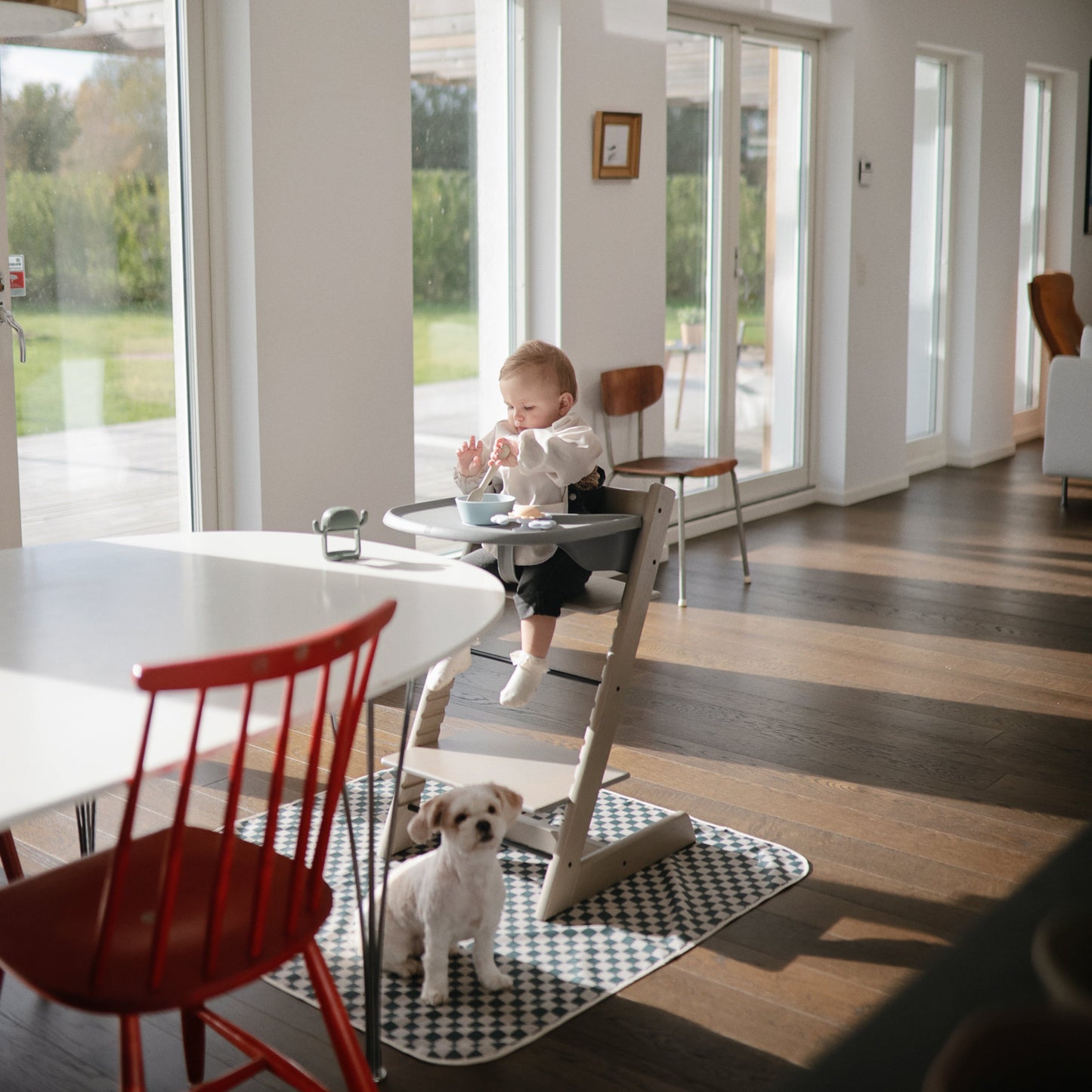 Child in a high chair with a dog on a checkered rug in a modern living room.