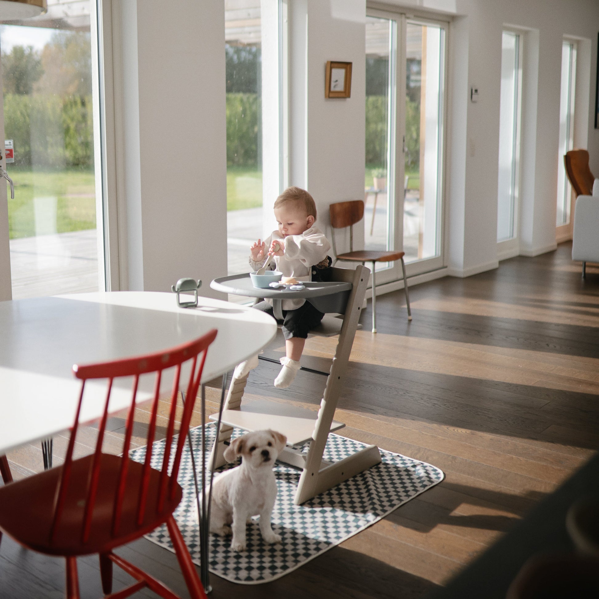 Child in a high chair with a dog on a checkered rug in a modern living room.