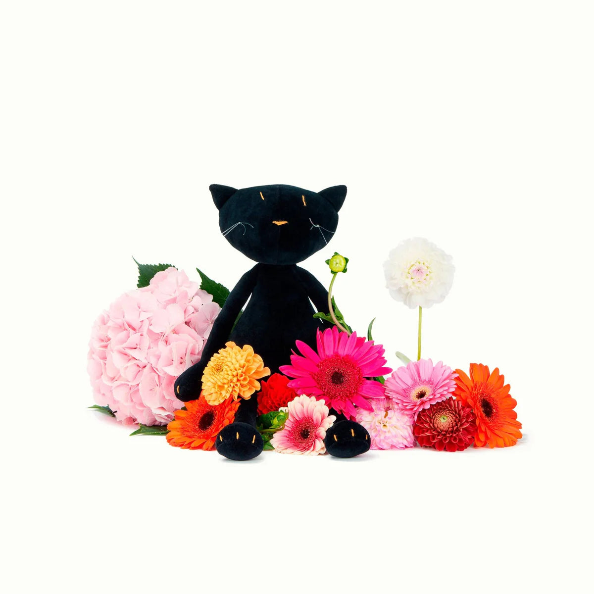 Gisel, The Cat (Black)